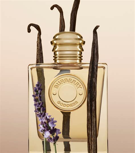 burberry goddess the perfume shop|Burberry goddess perfume 30ml.